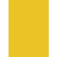 Coloured Card A4 300g 50 sheets mango