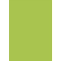 Coloured Card A4 300g 50 sheets may green