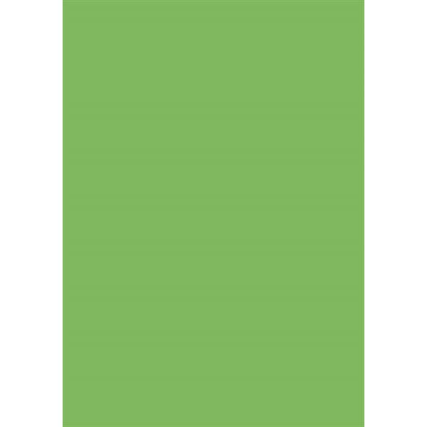 Coloured Card A4 300g 50 sheets medium green