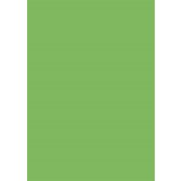 Coloured Card A4 300g 50 sheets medium green
