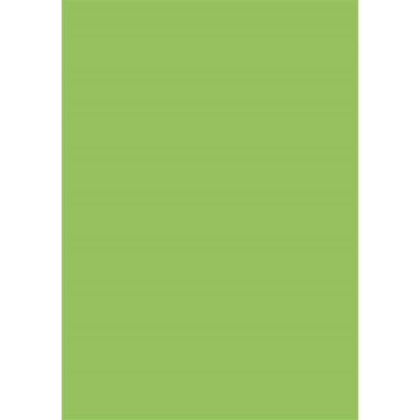 Coloured Card A4 300g 50 sheets grass green