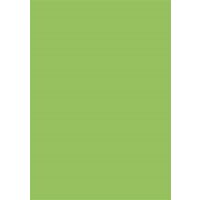 Coloured Card A4 300g 50 sheets grass green