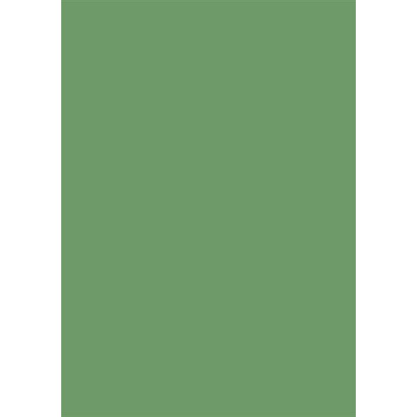 Coloured Card A4 300g 50 sheets deciduous green