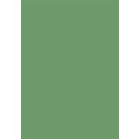 Coloured Card A4 300g 50 sheets deciduous green