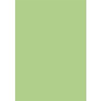 Transparent paper 70x100cm 5 rolls light green