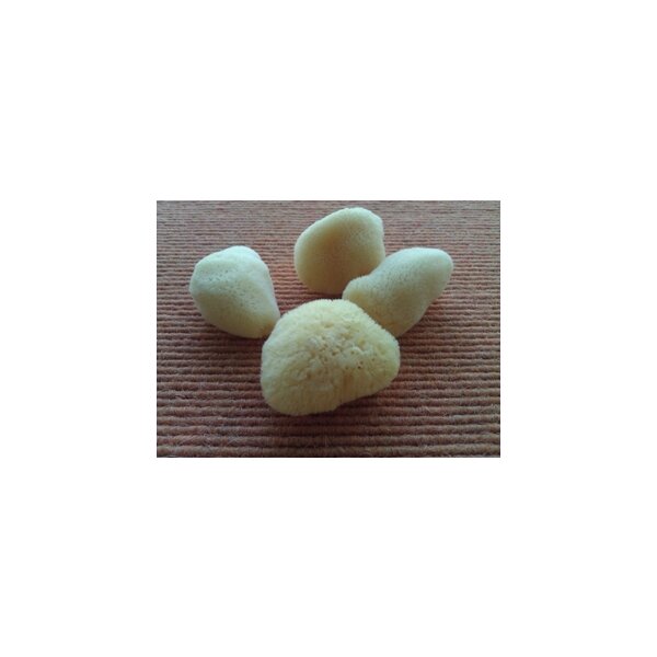 genuine Greek sea sponges LEVANTINER