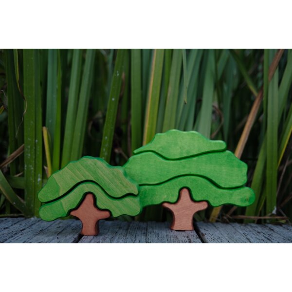 Oak