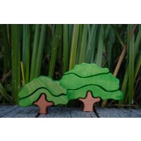 Oak