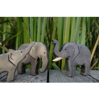 Elephant male