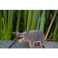 Hippopotamus mouth open