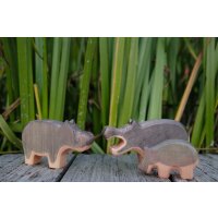 Hippopotamus