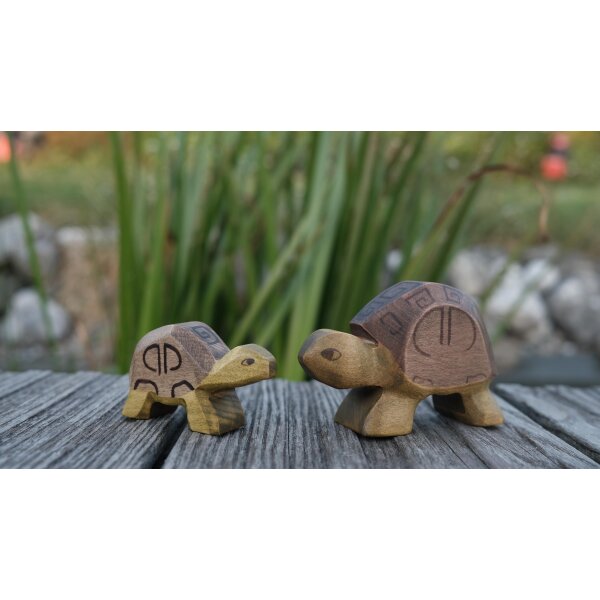 Turtle