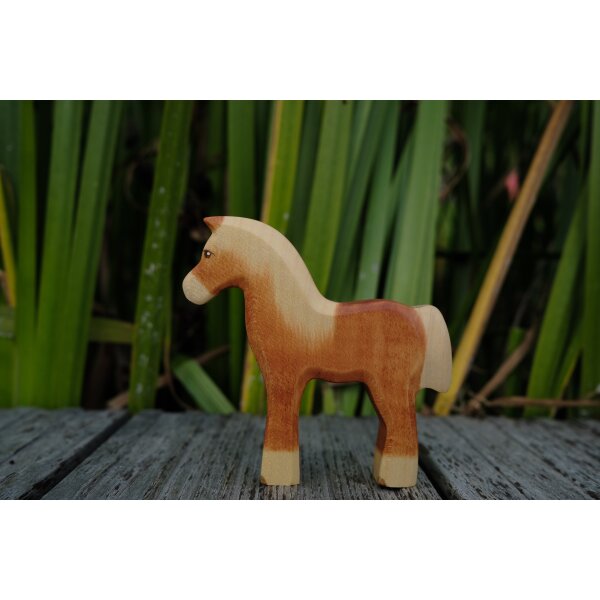 Haflinger Fohlen