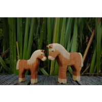 Haflinger Fohlen