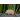 Schwein Rüssel unten