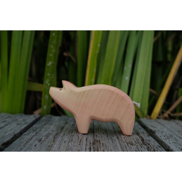 Pig