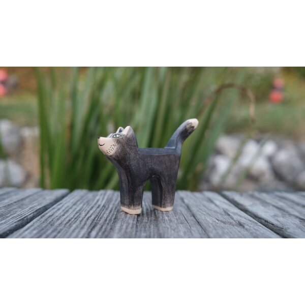 Bremer Cat