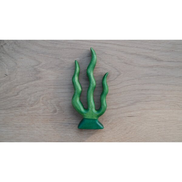 Seaweed 1
