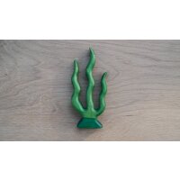 Seaweed 1