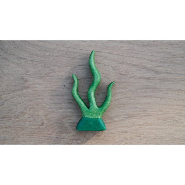 Seaweed 3