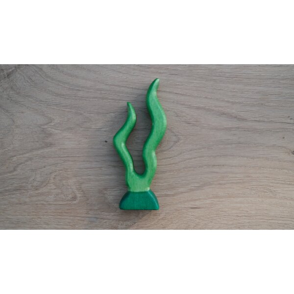 Seaweed 2